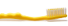 Dentifrice bouton Dentifrice bouton
